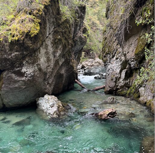 Arroyo Casa de Piedra — trekking en Bariloche